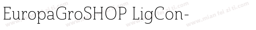 EuropaGroSHOP LigCon字体转换
